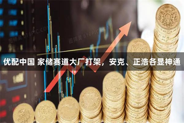 优配中国 家储赛道大厂打架，安克、正浩各显神通