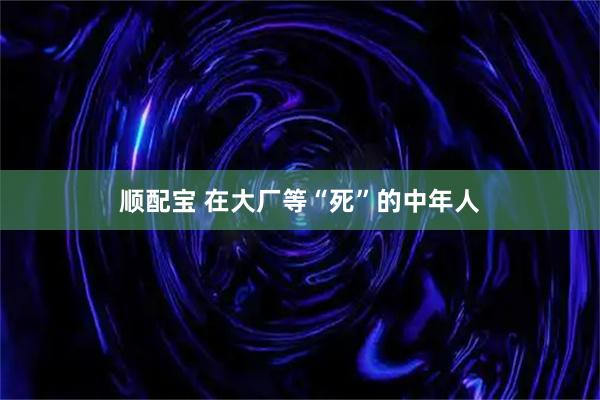 顺配宝 在大厂等“死”的中年人