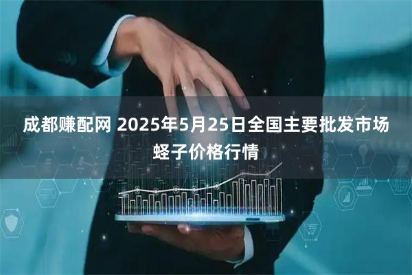 成都赚配网 2025年5月25日全国主要批发市场蛏子价格行情