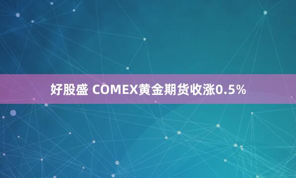 好股盛 COMEX黄金期货收涨0.5%