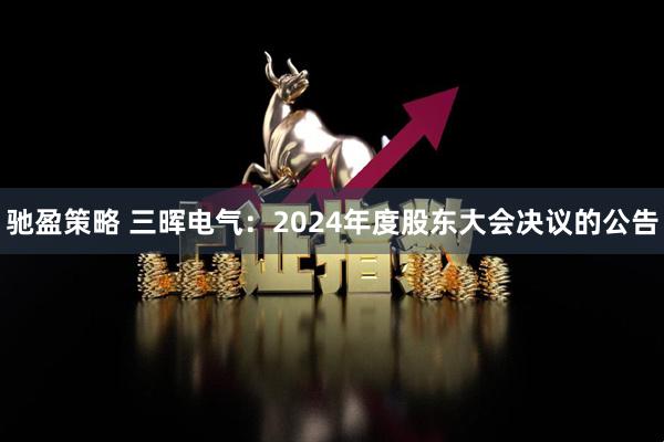 驰盈策略 三晖电气：2024年度股东大会决议的公告