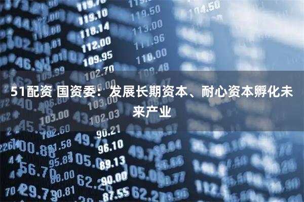51配资 国资委：发展长期资本、耐心资本孵化未来产业
