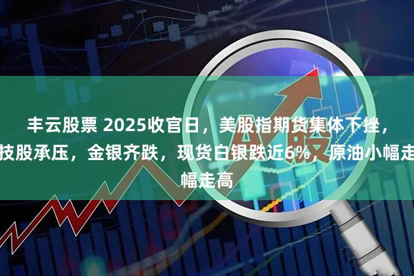 丰云股票 2025收官日，美股指期货集体下挫，科技股承压，金银齐跌，现货白银跌近6%，原油小幅走高