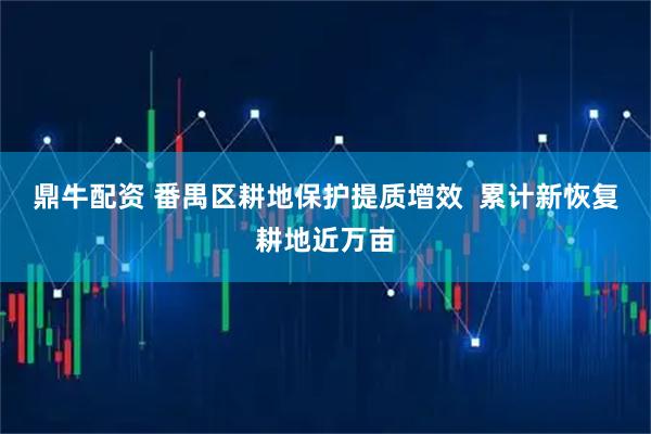 鼎牛配资 番禺区耕地保护提质增效  累计新恢复耕地近万亩