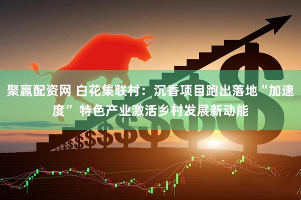 聚赢配资网 白花集联村：沉香项目跑出落地“加速度” 特色产业激活乡村发展新动能